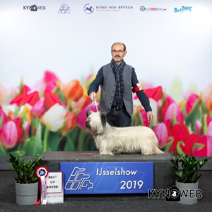 R_672_LR_IJSSELSHOW_2019_KYNOWEB_KY3_6740_20190406_12_03_37