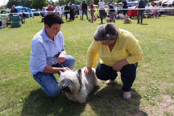 Kirsten Fecker aus Ulm (links) und Richterin Agnieszka Nock-Patiniak (rechts) mit Skye Terrier Dame Fancy